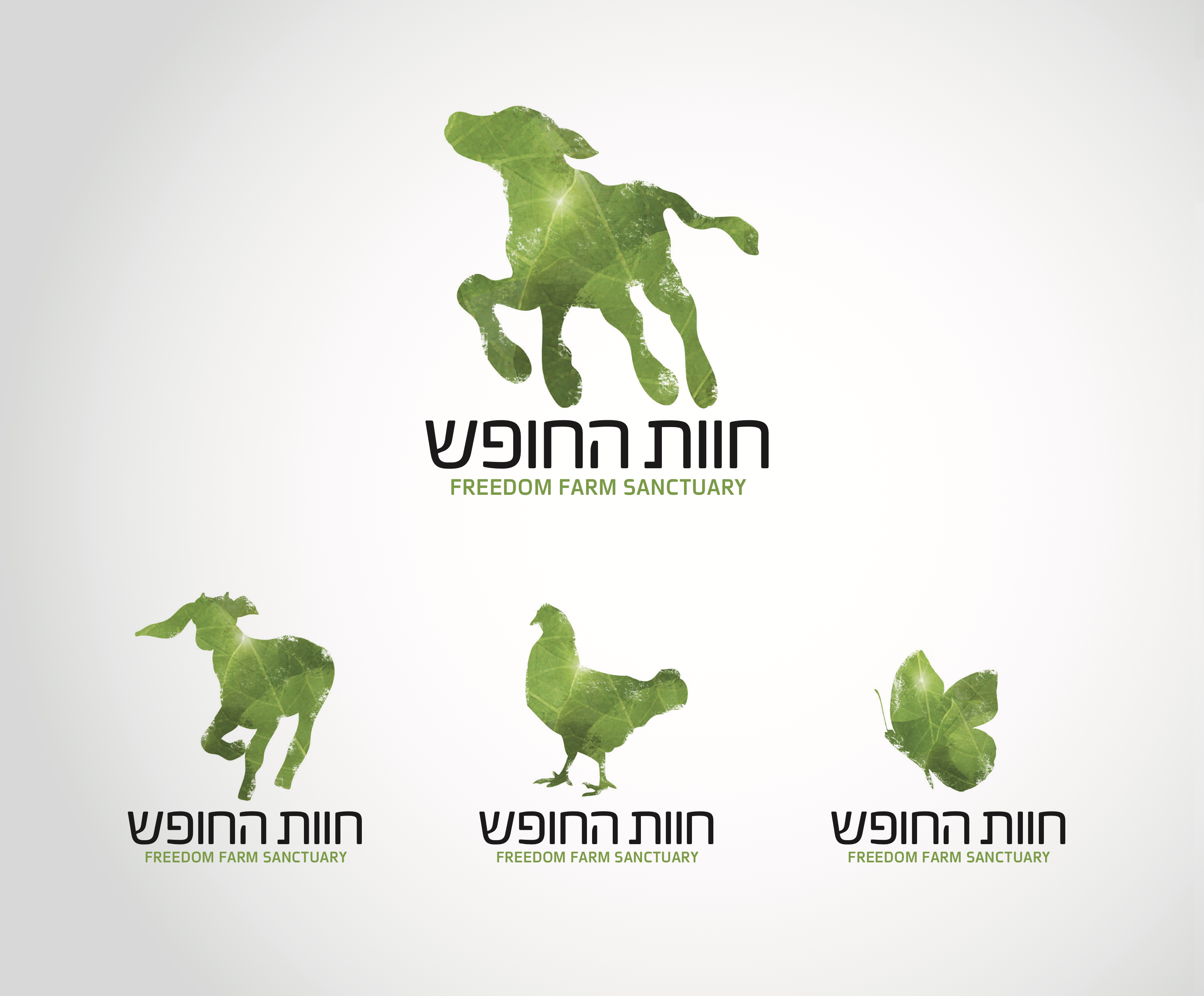 Entry 307543 in Portfolio by שרון כהן