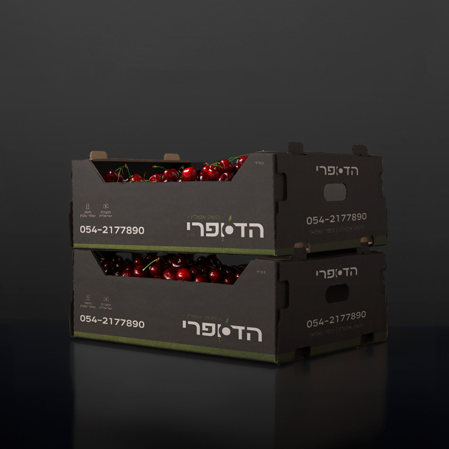 Entry 335210 in Portfolio by שרה עיצוב גרפי