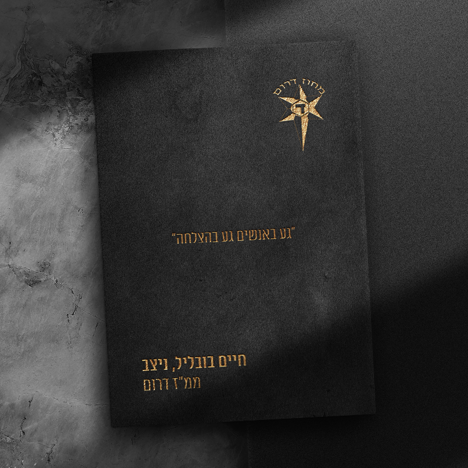 Entry 335253 in Portfolio by שרה עיצוב גרפי