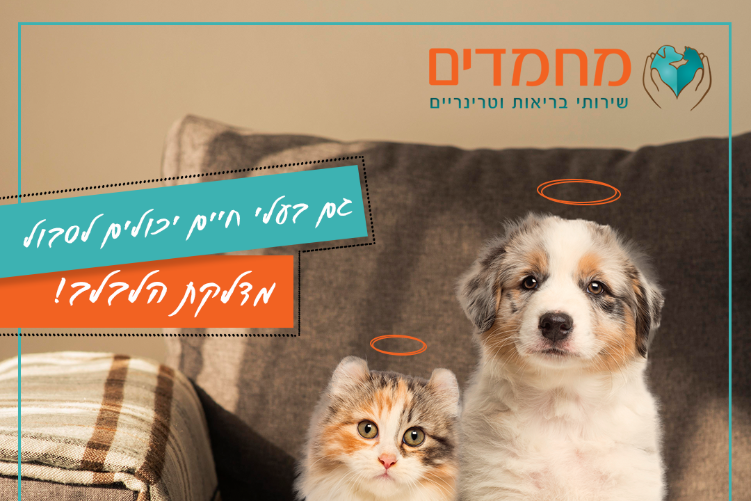 Open Zoomed Related Entry מחמדים.png