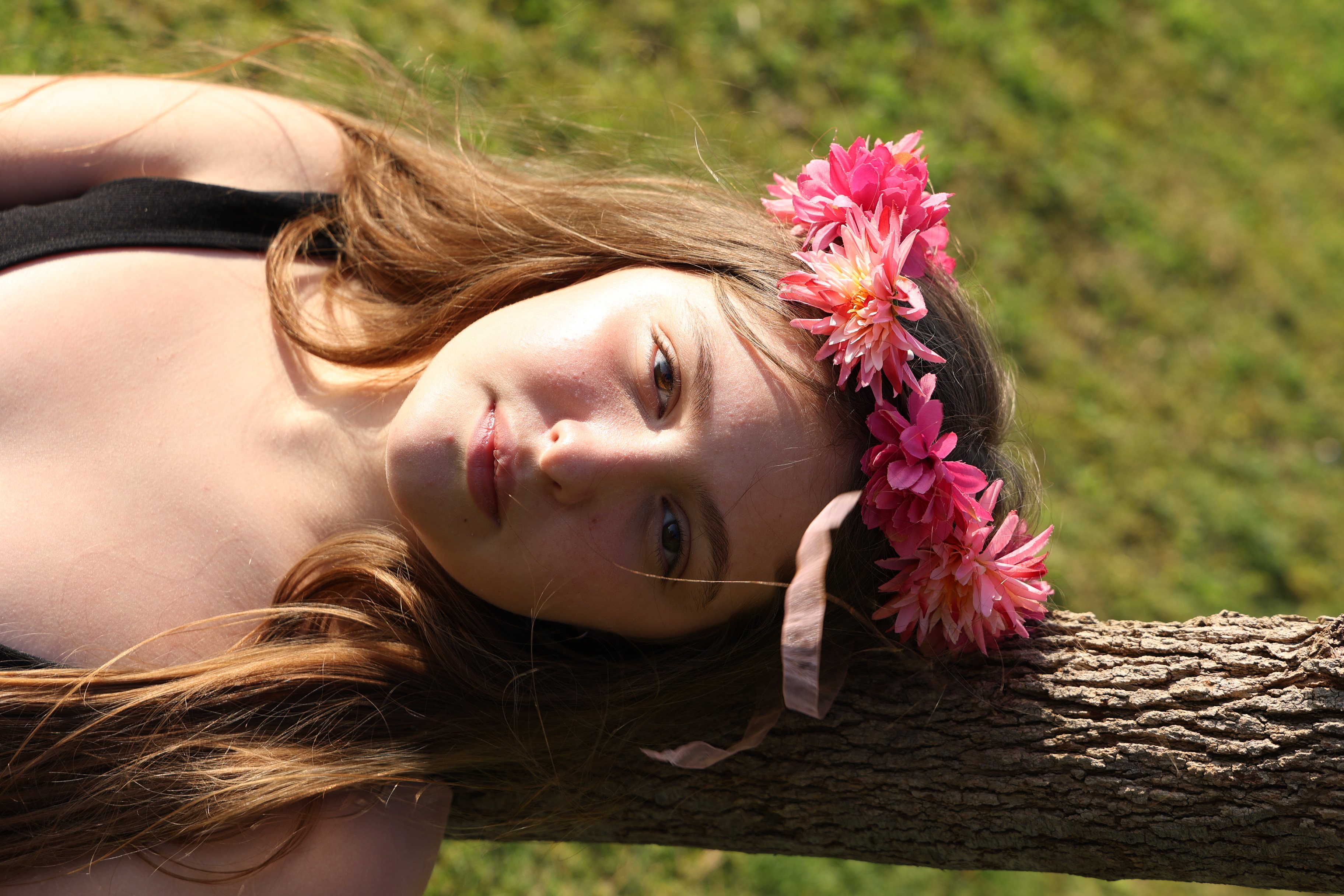 Entry 296667 in Portfolio by liron photography