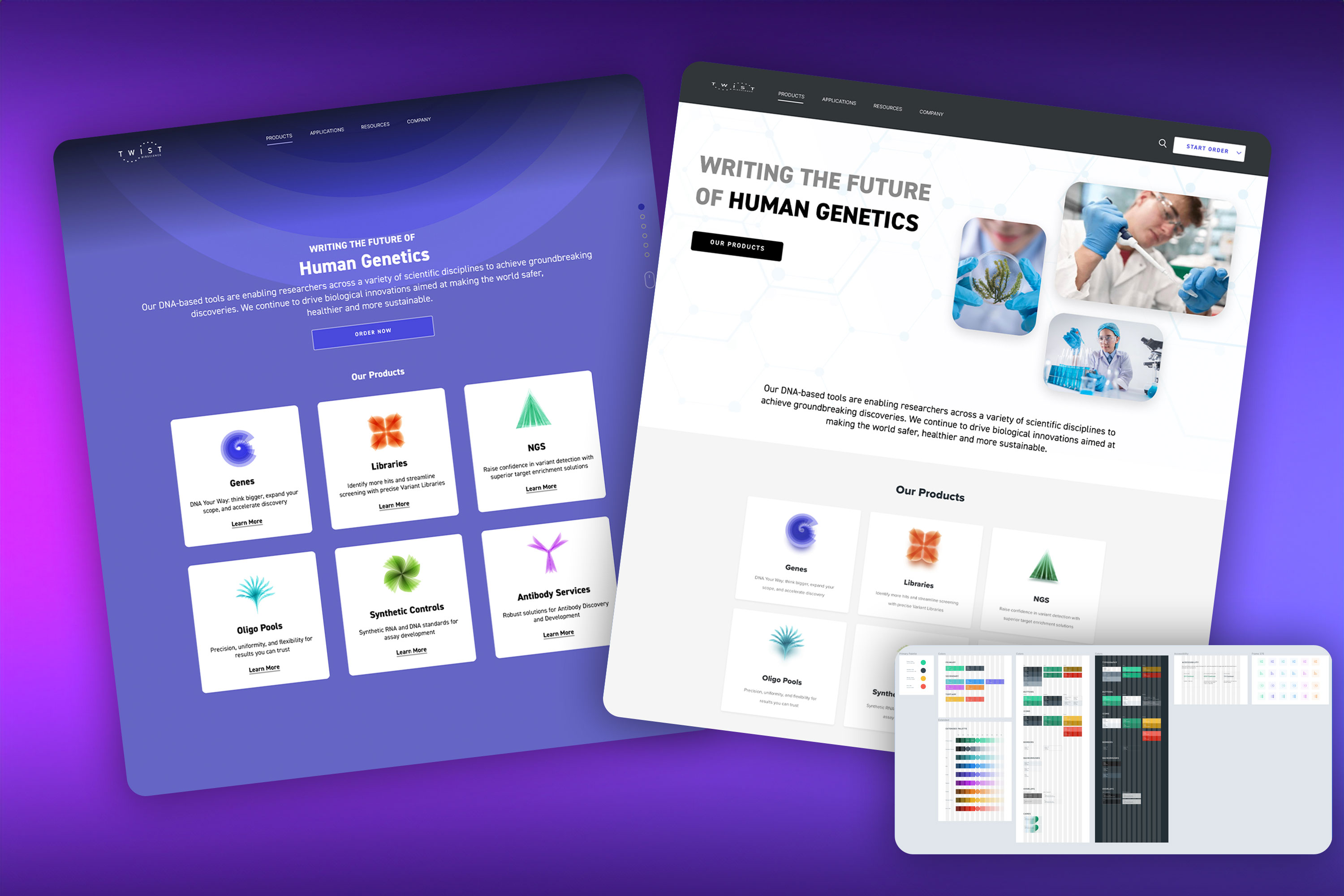 Entry 301182 in Website Design by דרור כהן