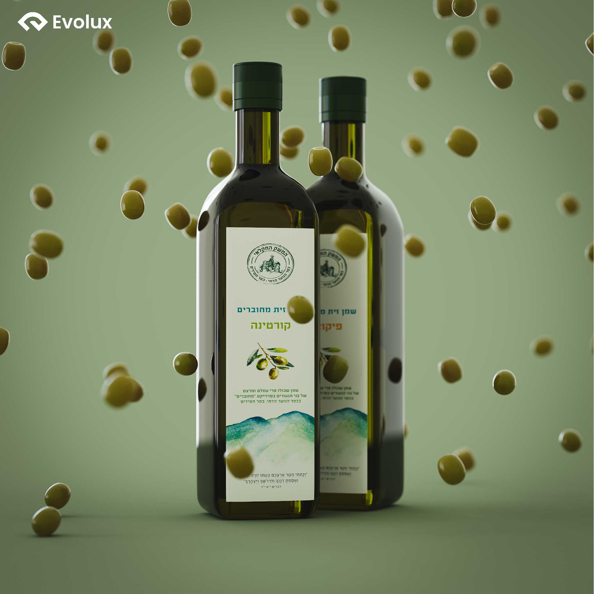 Entry 289495 in Portfolio by Evolux Studio