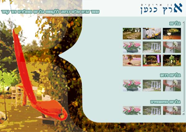 Entry 36310 in Portfolio by דורון בסון
