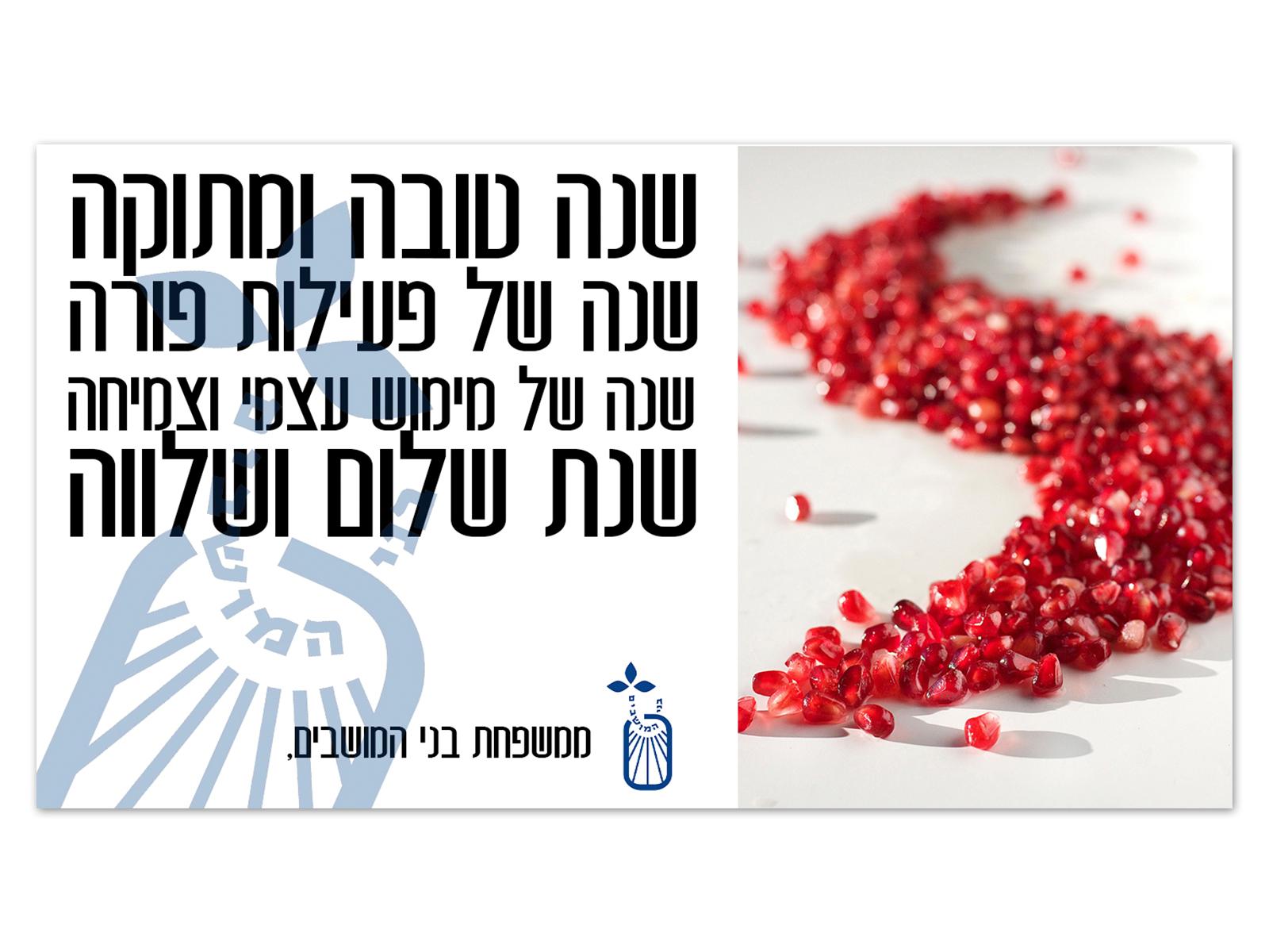 Entry 60186 in Portfolio by פדה כץ