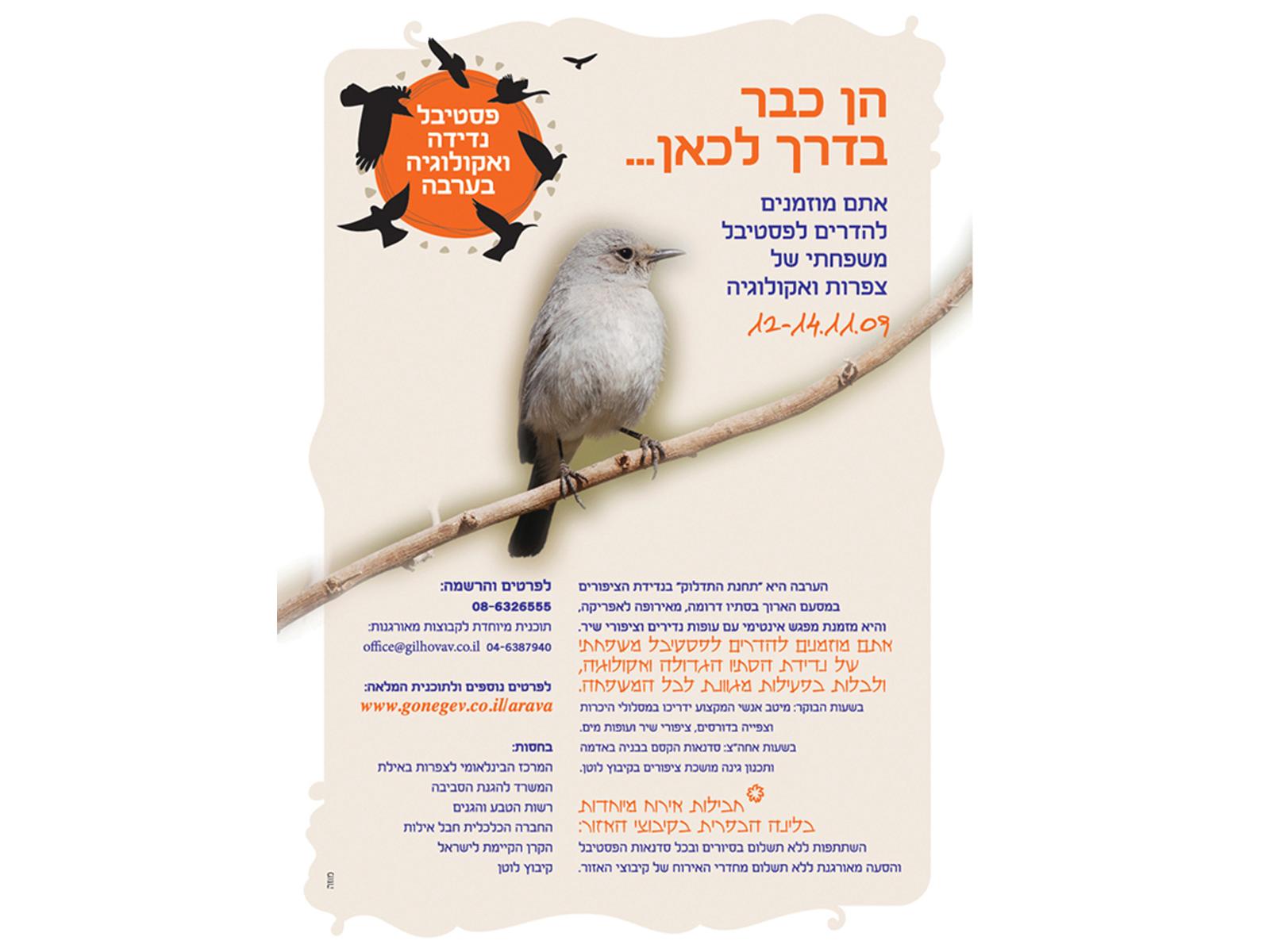 Entry 67751 in Portfolio by הסטודיו
