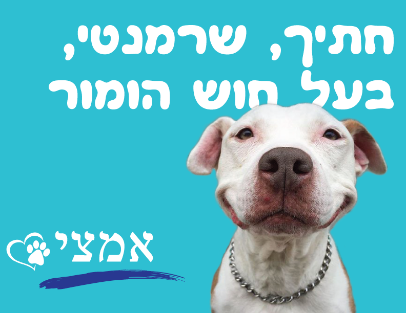 Entry 148210 in Branding by רועי רוזנסקי מעצב גרפי