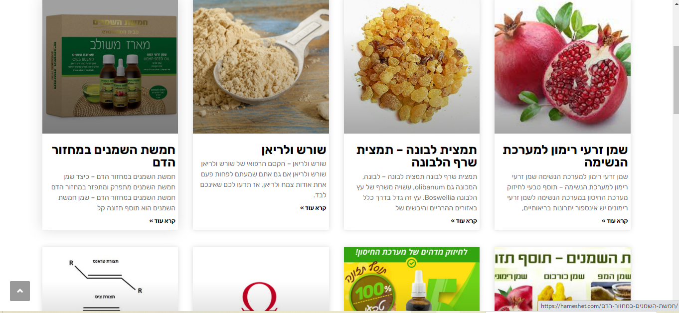 Entry 267855 in כתיבת תכנים by ayala web creation