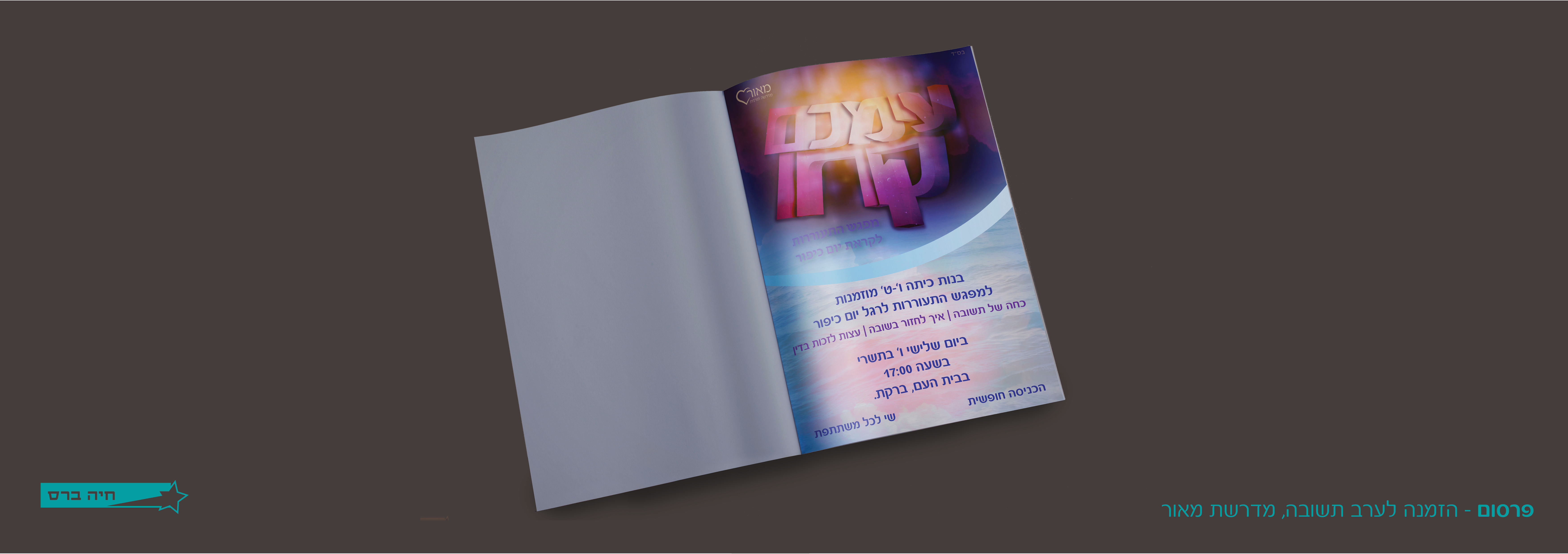 Entry 222130 in Portfolio by חיה ברס