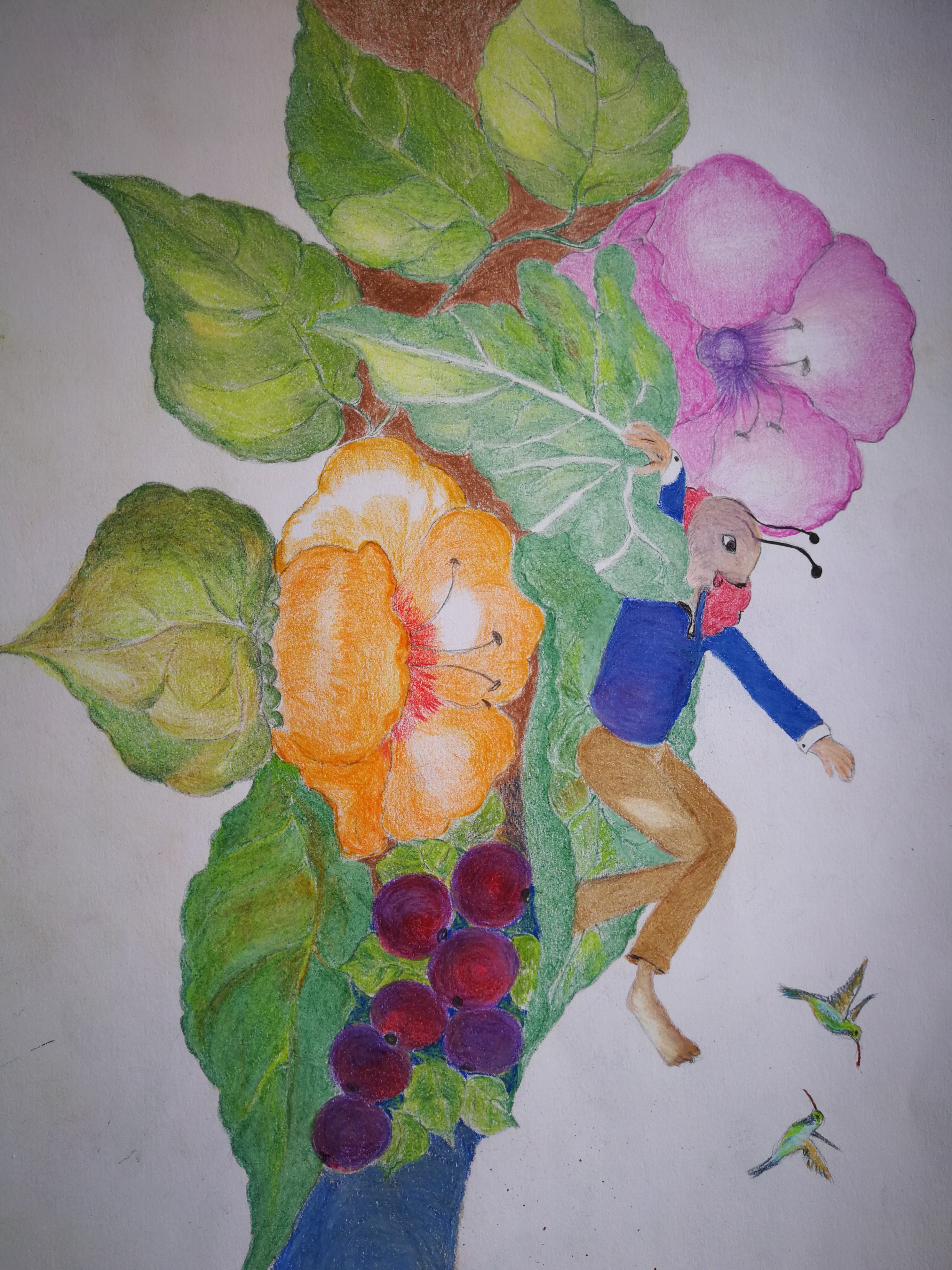 Entry 160021 in Portfolio by איור וכתיבה