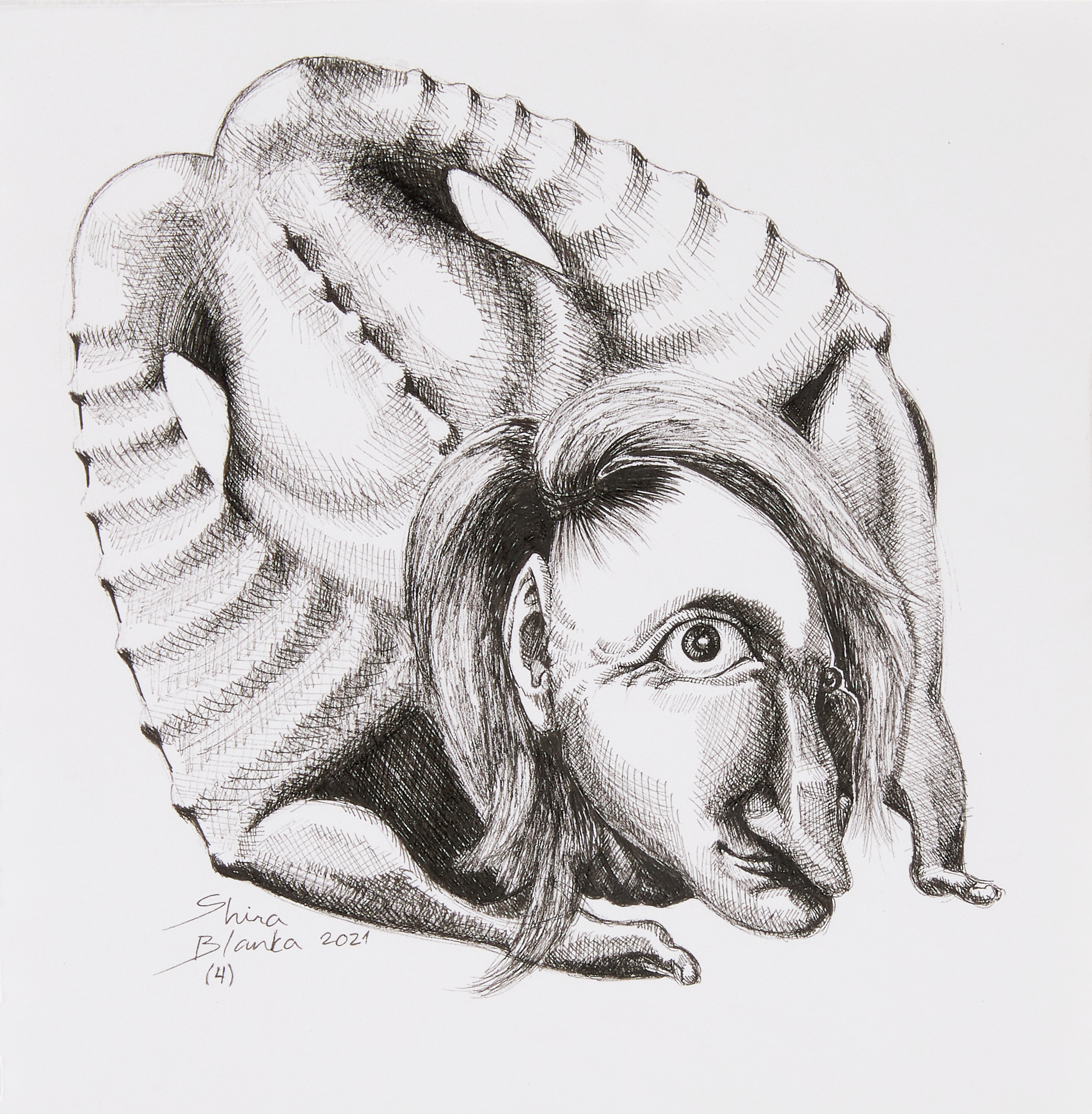 Entry 264981 in Portfolio by Shira Blanka