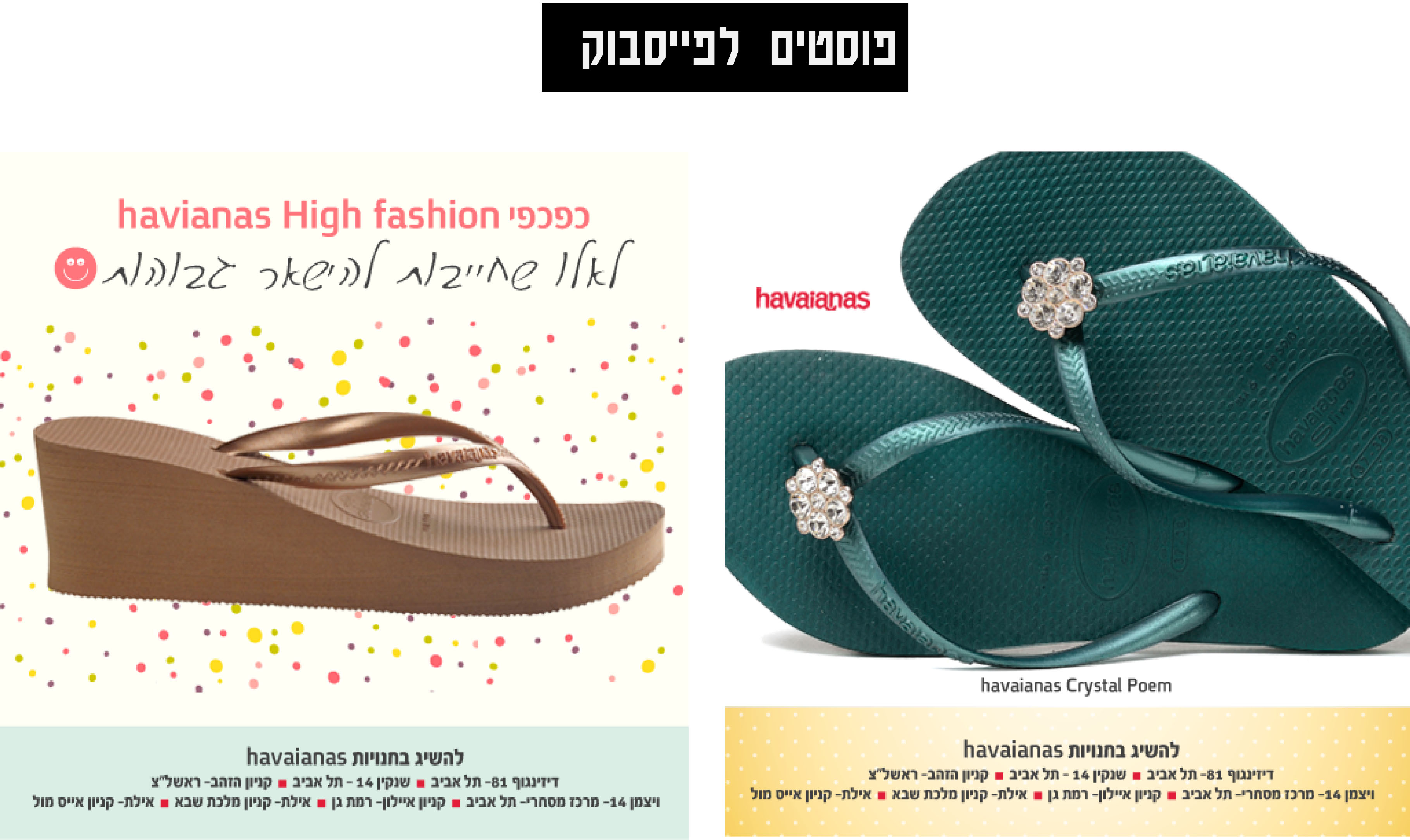Entry 85441 in Portfolio by הדר אביב