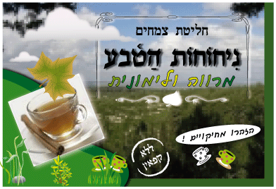Entry 3142 in Portfolio by גרפיקה ועימוד