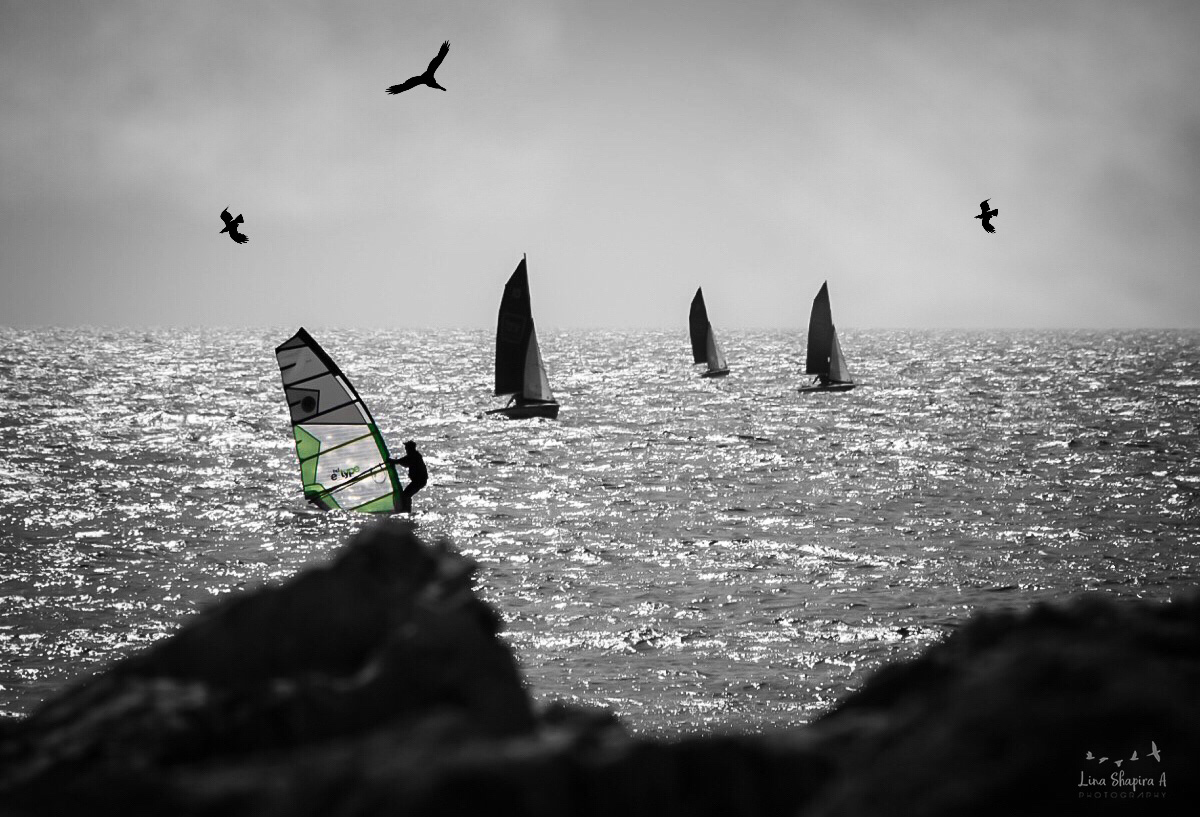 Entry 154021 in Portfolio by Lina Shapira A photography