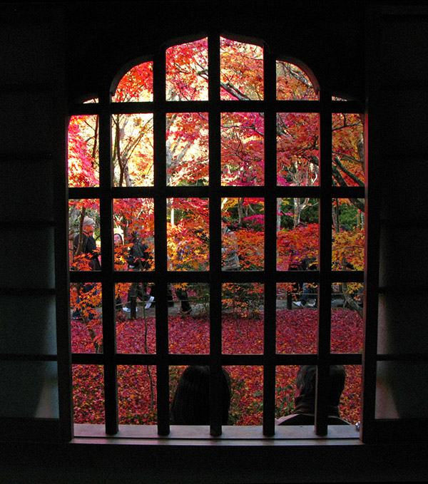 Entry 111295 in Japan Autumn leaves by Sweet-Art