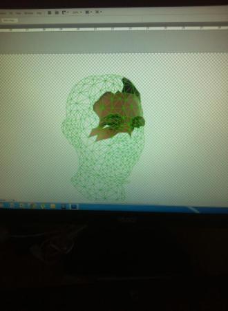 Open Zoomed Related Entry Polygon Portrait