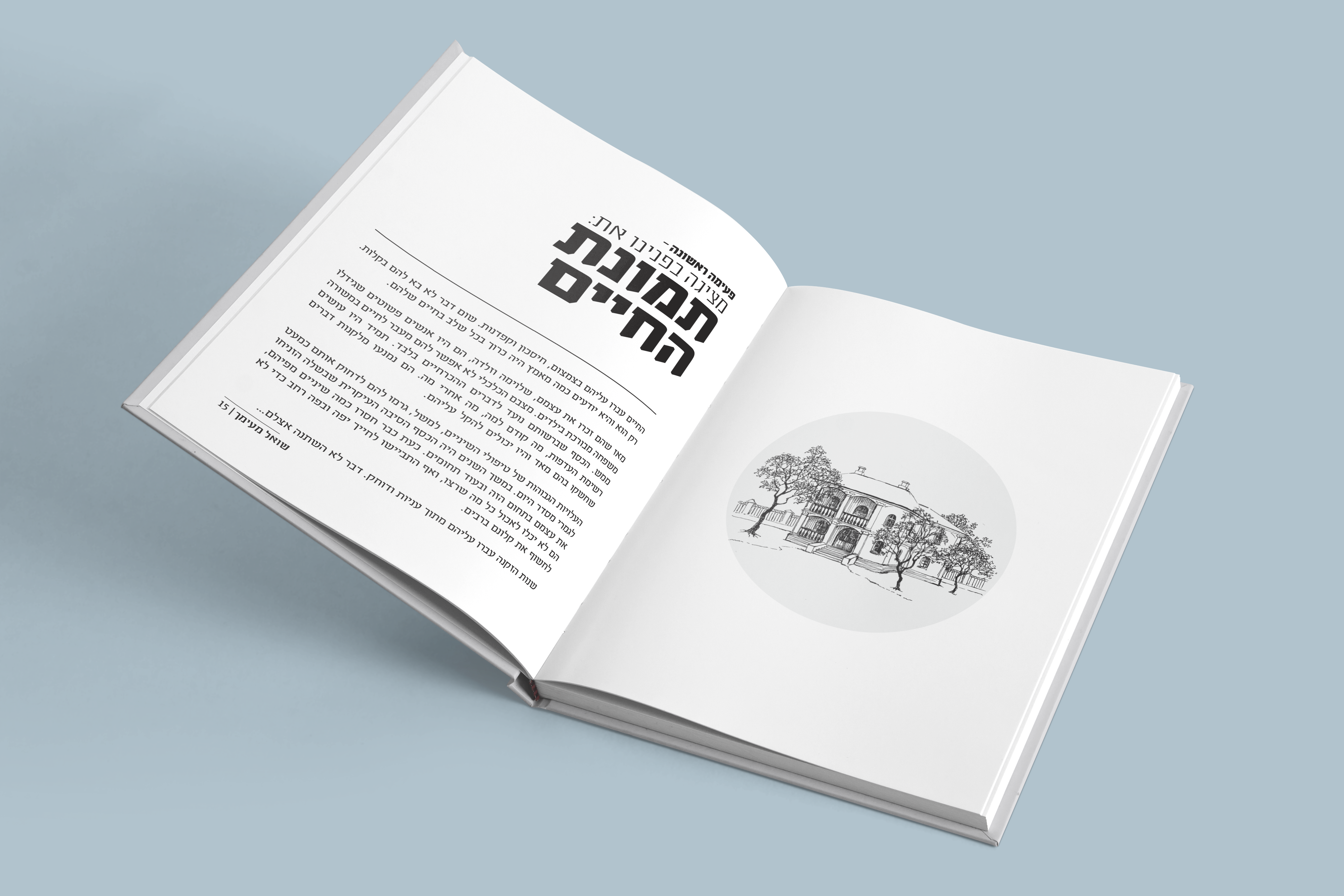Entry 142011 in Portfolio by BOOMerang