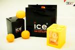 Open Zoomed Related Entry icewatch