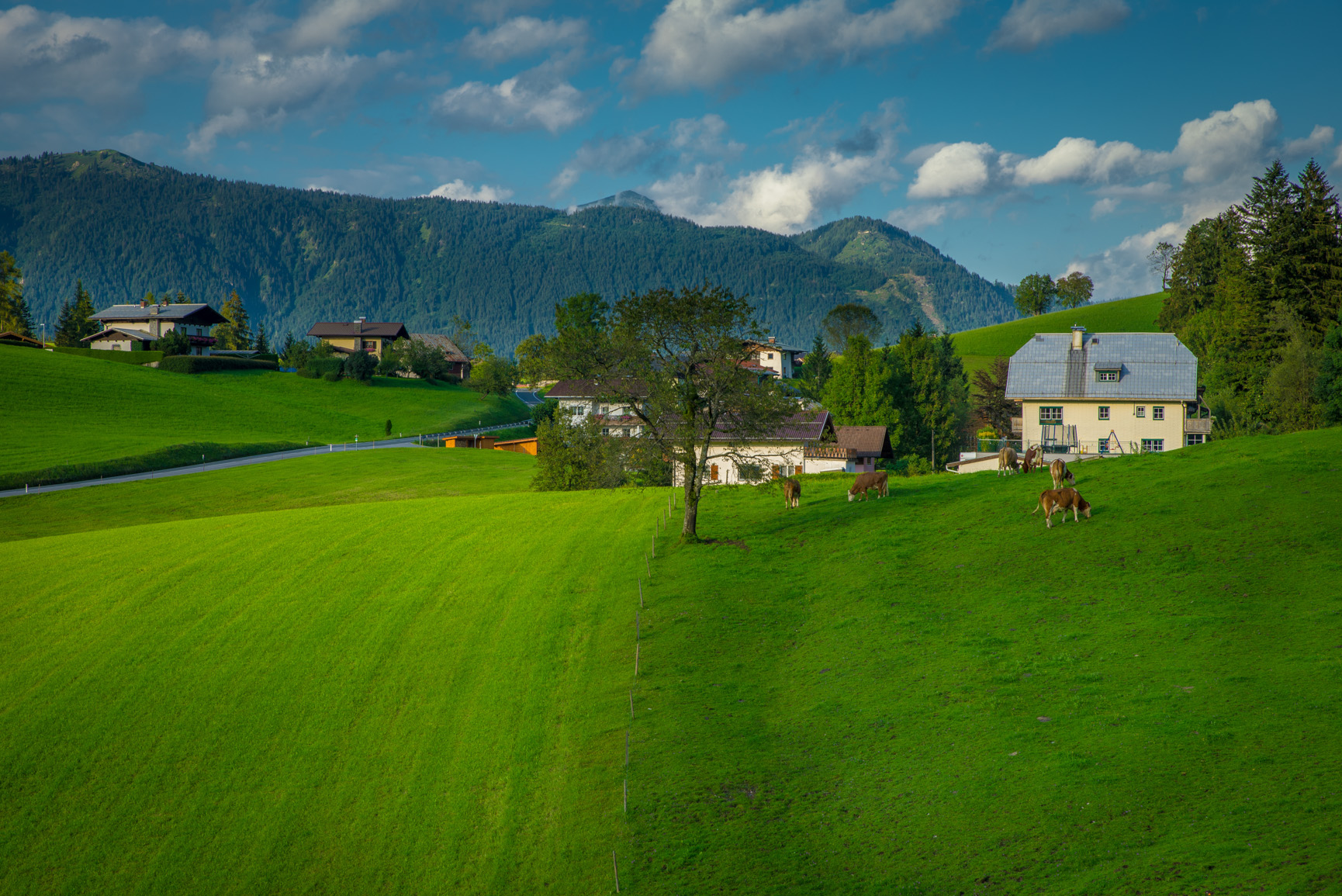 Entry 121414 in Landscapes by Ron Stollman Photography