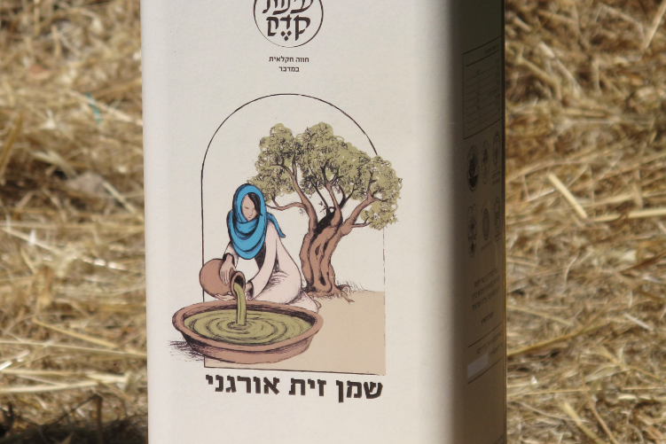 מיתוג מאוייר - עינות קדם thumbnail