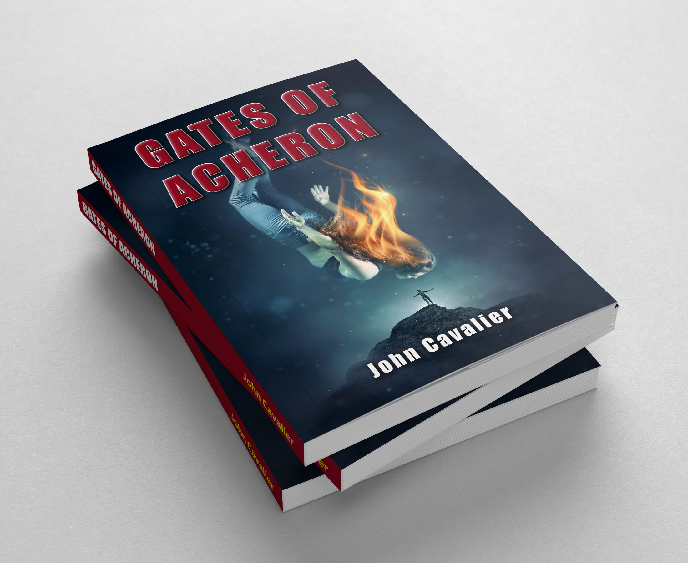 Entry 248128 in Portfolio by Michel Benabou Graphic Design