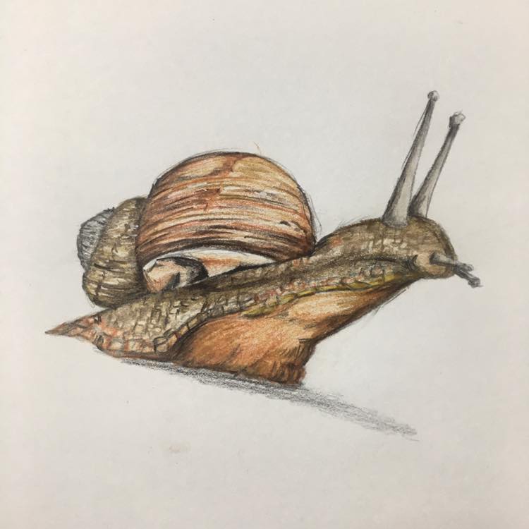 Entry 253330 in Portfolio by סימון