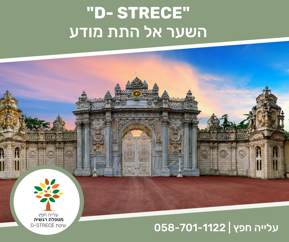 Entry 256273 in קמפיינים by וואי - פרסום דיגיטלי