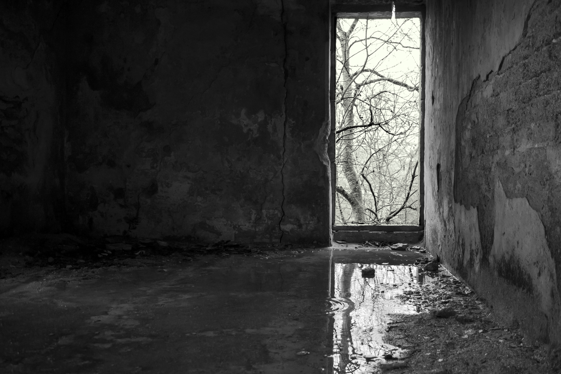 Entry 272319 in Portfolio by Arnon de Shalit Stills & Video