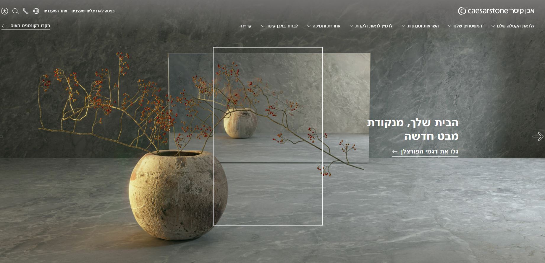 Entry 290987 in Portfolio by פרו-ביז ישראל