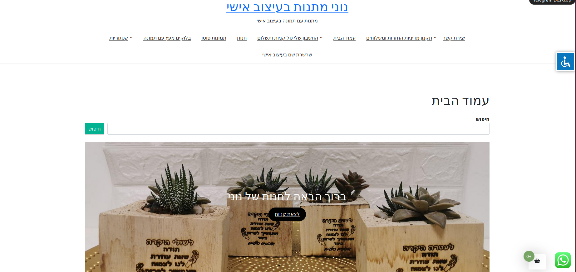 Entry 279931 in Portfolio by Yahav gal