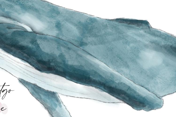 Open Zoomed Related Entry Whale.jpg