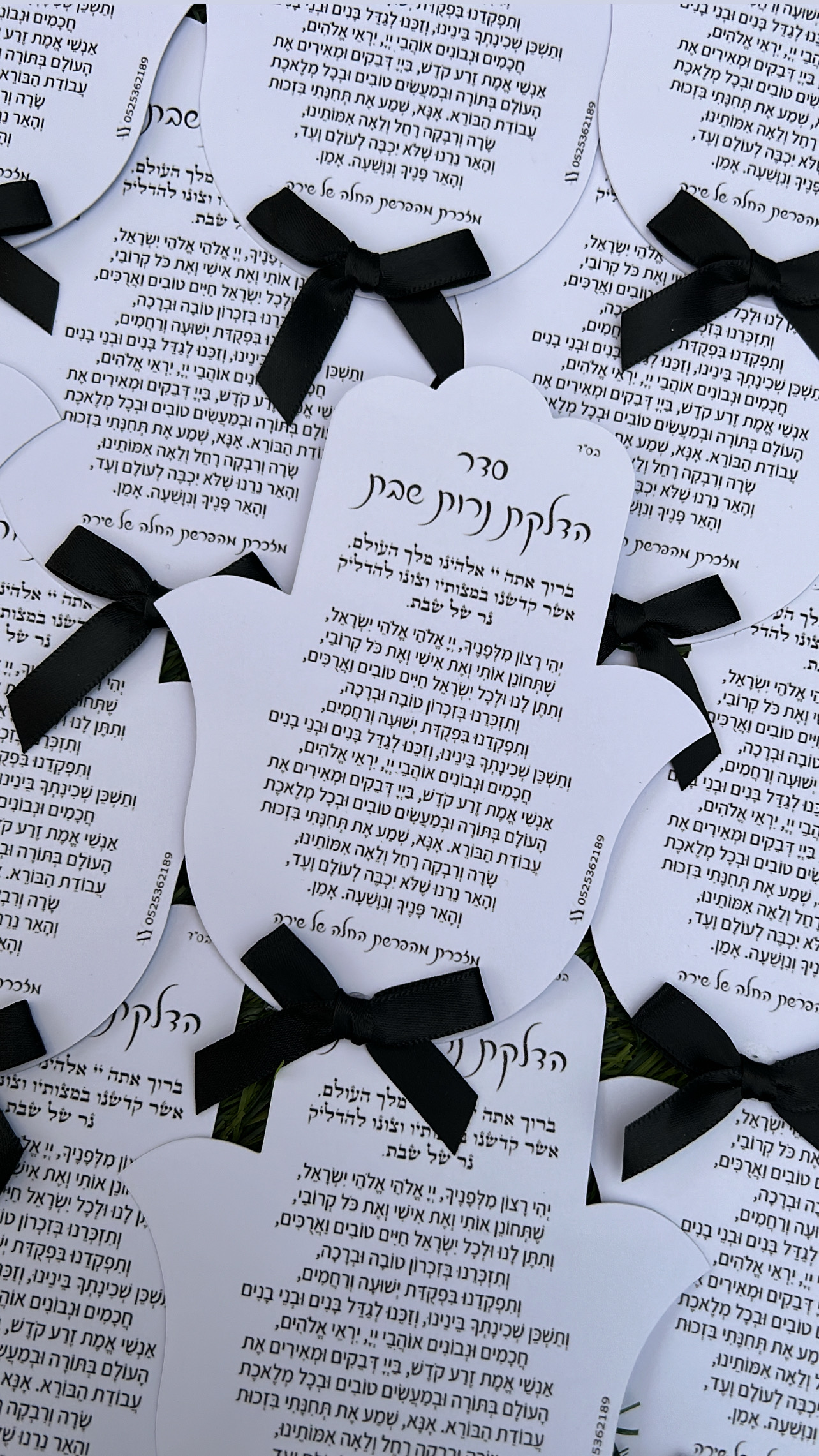 Entry 312947 in Portfolio by עדי ראוי עיצוב גרפי