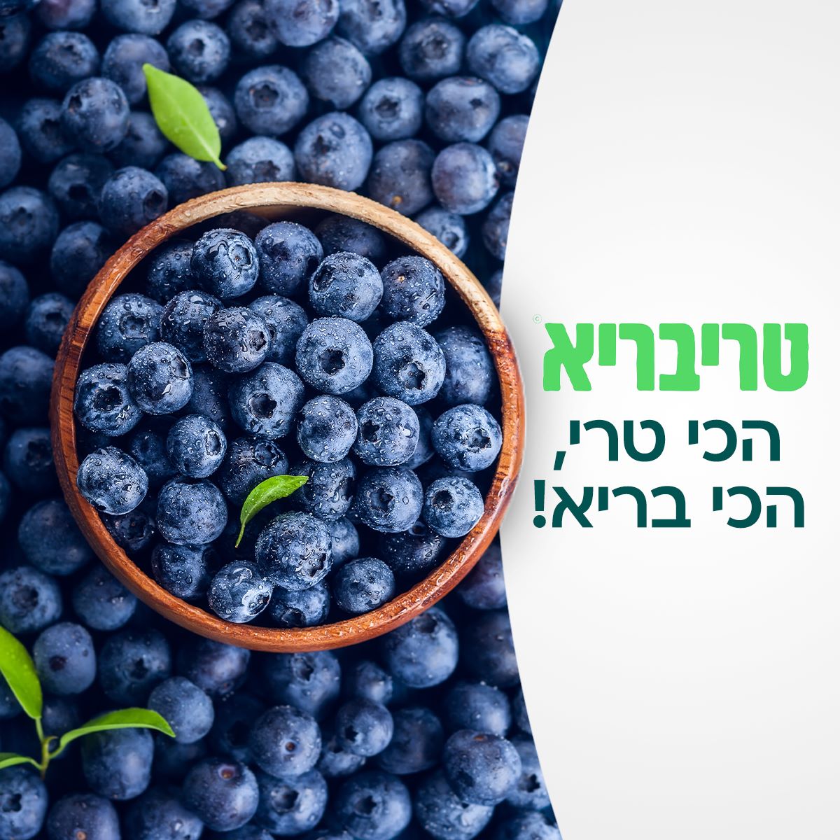 Entry 292225 in ניהול סושיאל ושיווק by studio 51