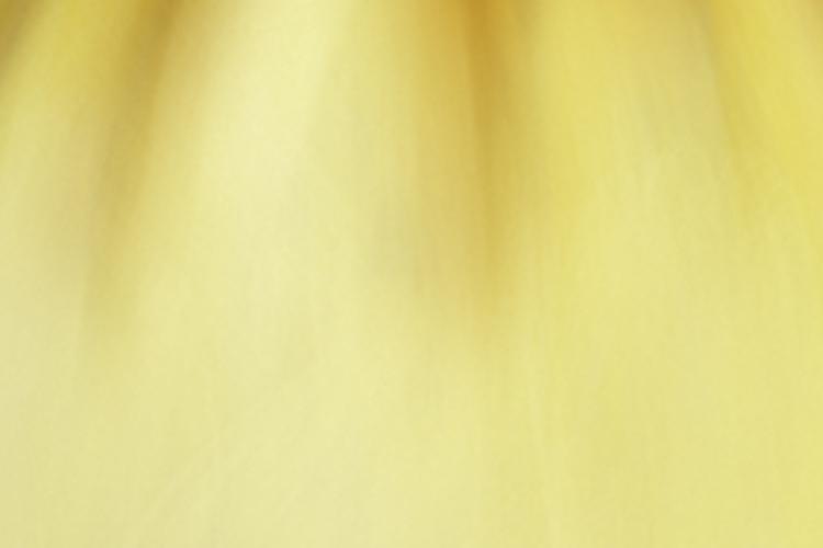 Open Zoomed Related Entry Bag Asset copy.jpg