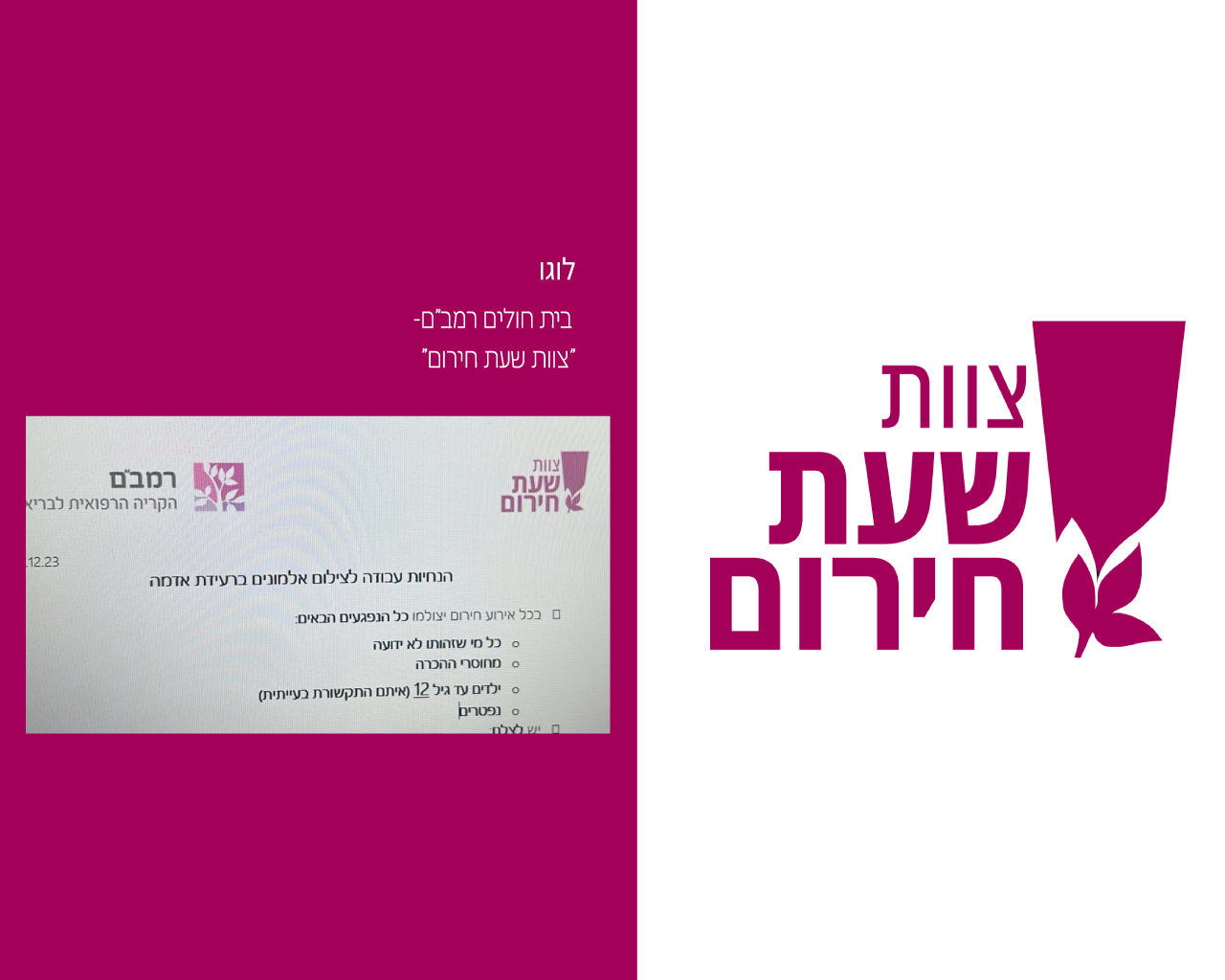 Entry 314261 in Portfolio by אור נתן