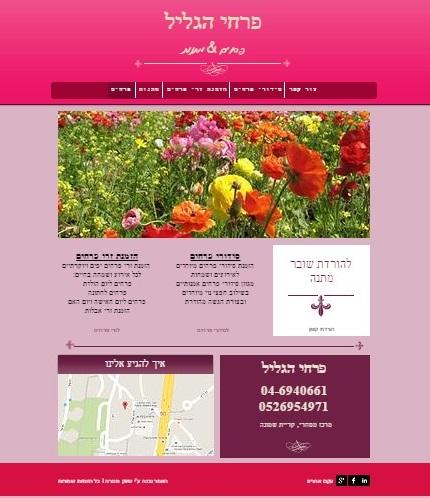 Entry 78053 in Portfolio by שיווק מטרה- קידום עסקים באינטרנט