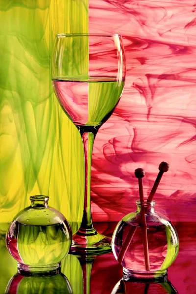 Entry 44684 in Portfolio by shelly's photography