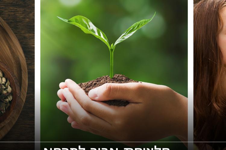 Open Zoomed Related Entry עיצוב קאוור לפייסבוק
