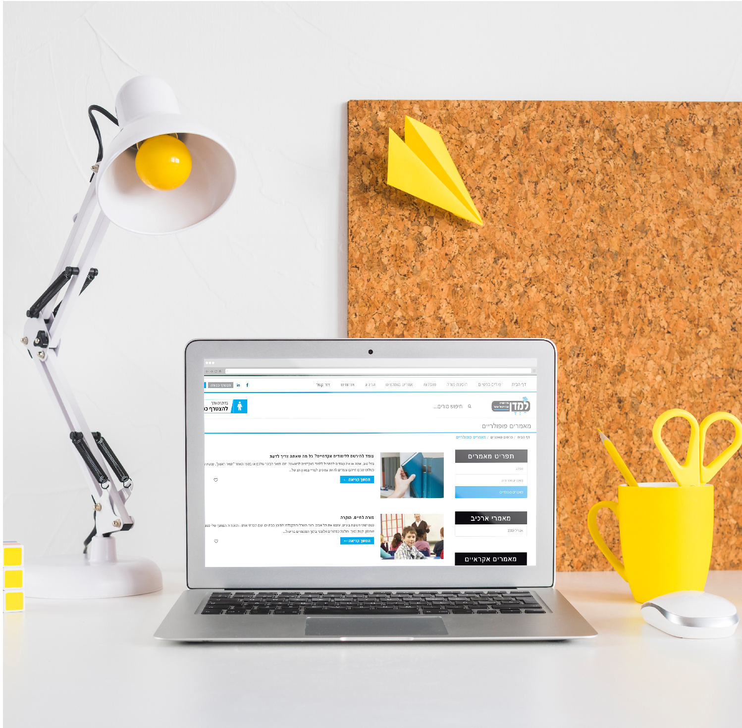 Entry 225831 in Portfolio by WebConcepts