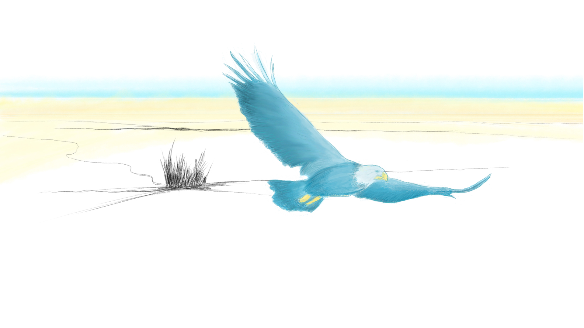 Entry 263399 in Portfolio by Gal Cohen