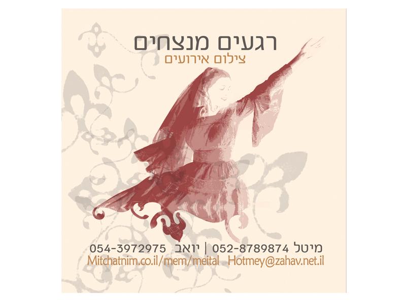 Entry 22375 in Portfolio by לירון זנגי