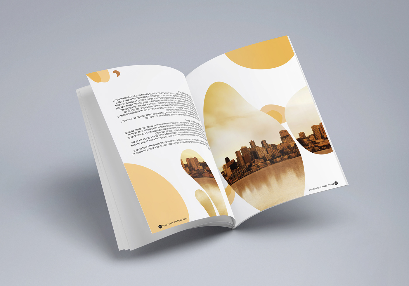 Entry 220785 in Light Rail Magazine by אביה זוביב
