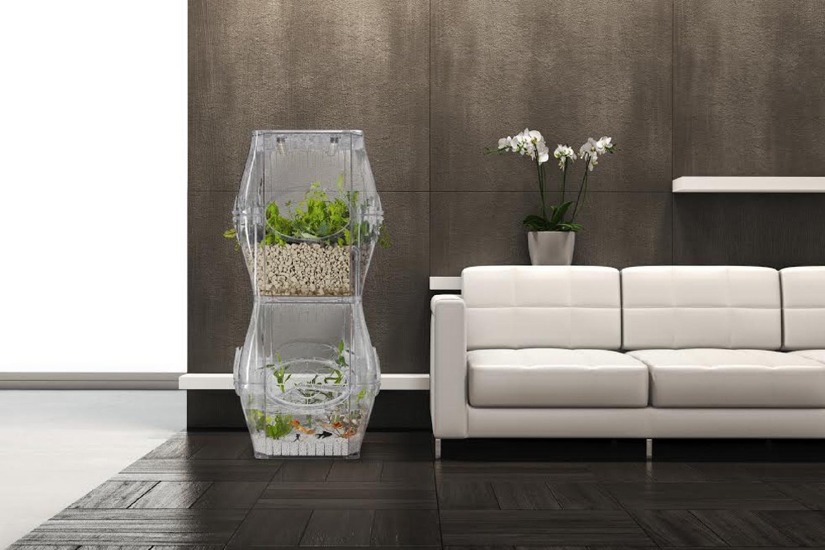 Entry 196336 in Aqualibrium by TVL ID
