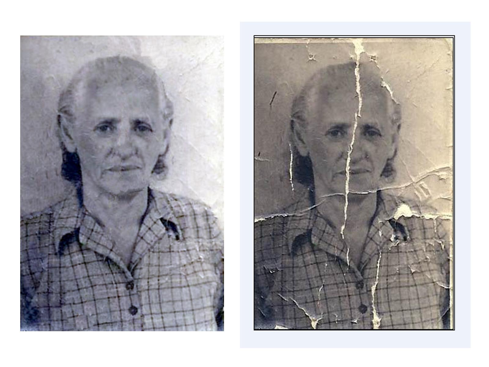 Entry 65008 in Portfolio by דנית שטימן