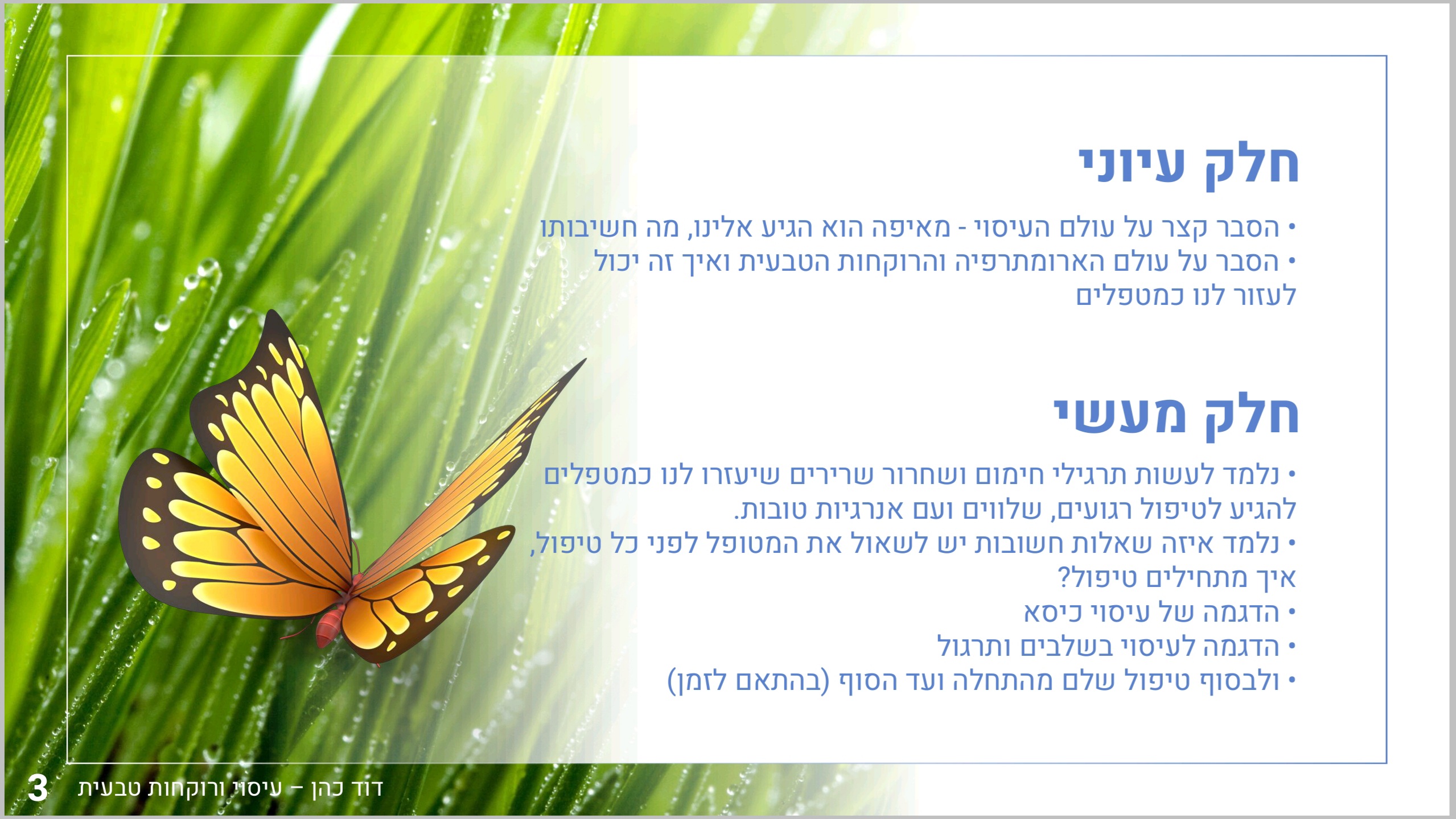 Entry 245153 in Portfolio by זיו מזרחי