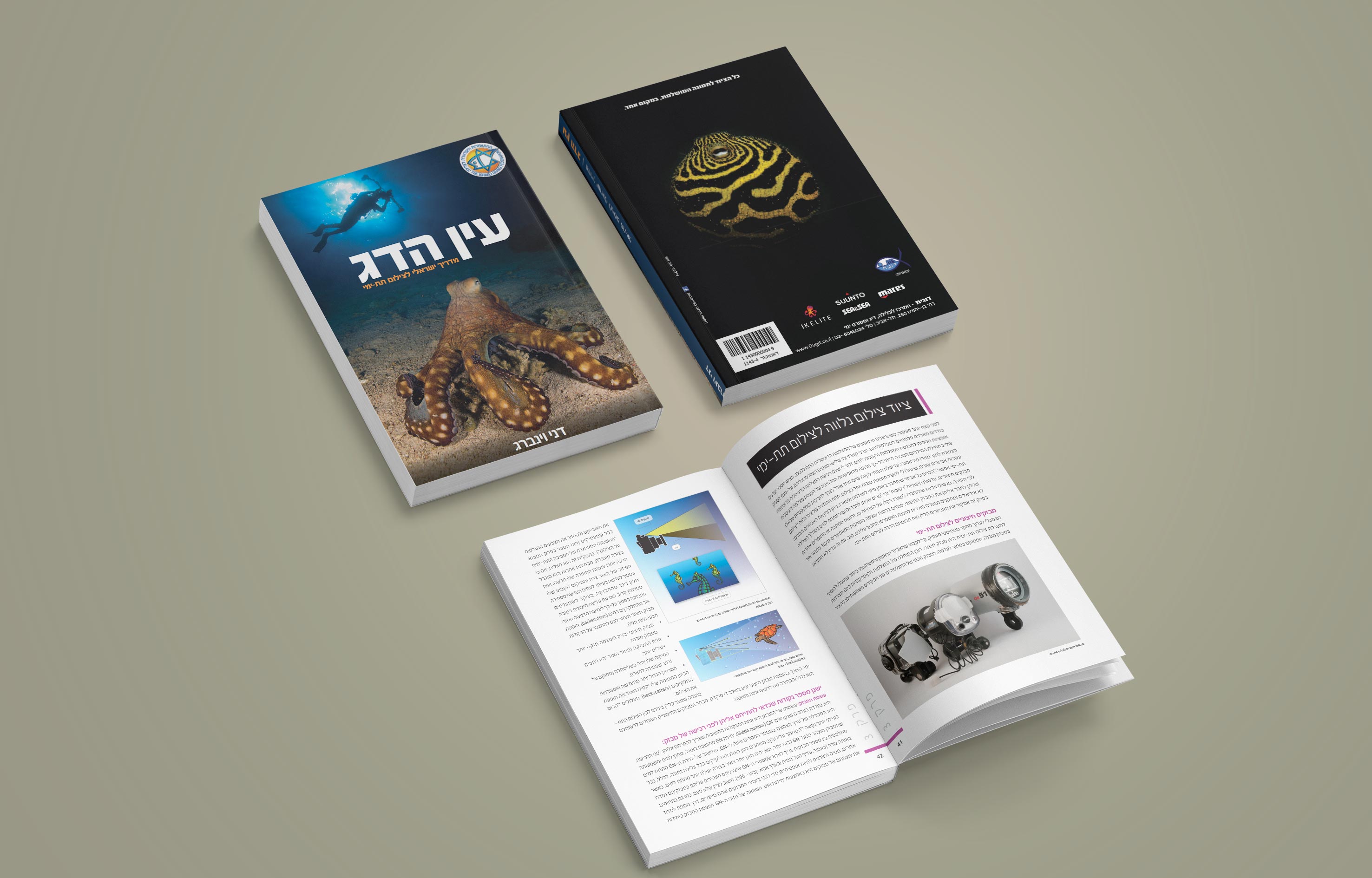 Entry 131336 in Portfolio by Rtistic