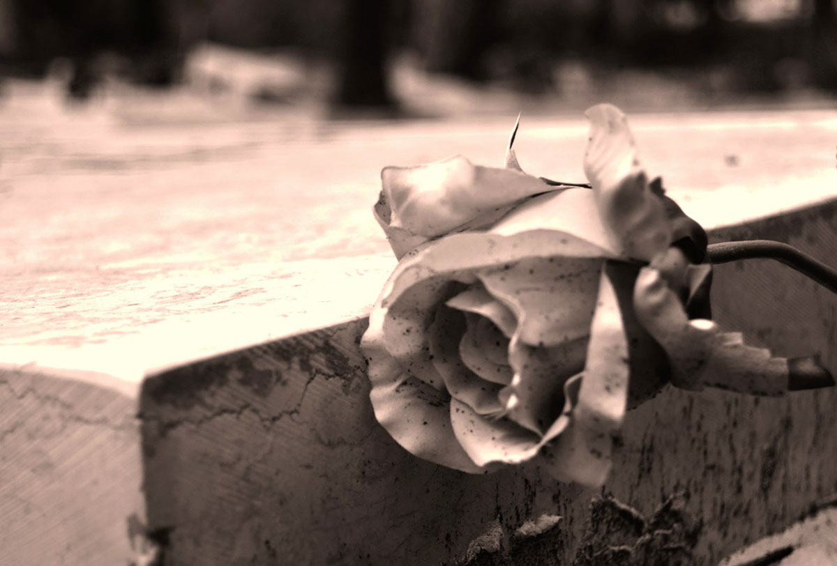 Entry 104391 in Photography Cemetery by DC DESIGNS