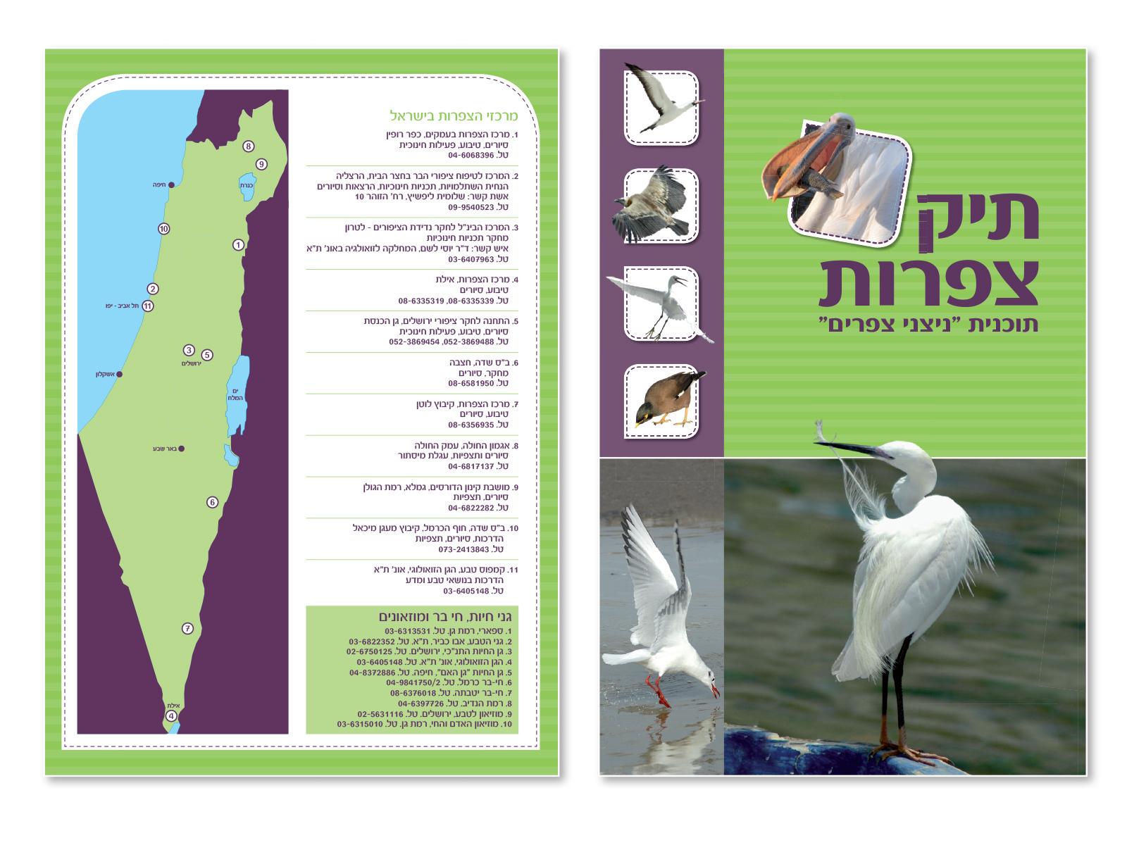 Entry 74975 in Portfolio by שירי שרון, מעצבת גרפית