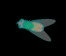 Open Zoomed Related Entry באנר
