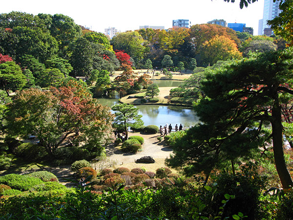 Entry 111268 in Japan Autumn leaves by Sweet-Art